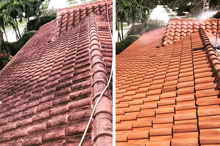 roof cleaning